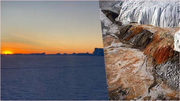 सूक्ष्म जीव लाखों सालों से जीवित अवस्था में हैं सूक्ष्म जीव लाखों सालों से जीवित अवस्था में हैं