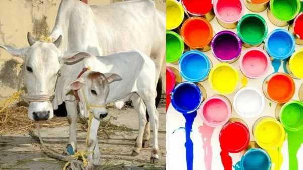 प्राकृतिक पेंट में सीएससी का होता है इस्तेमाल