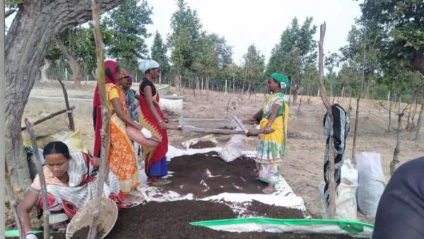 सनातन धर्म में है गोबर का धार्मिक महत्व 