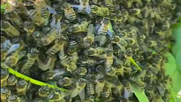 आगे की रिसर्च के लिए खुला बड़ा रास्ता