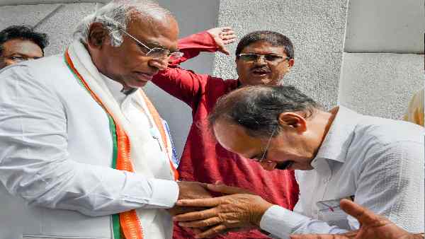 कांग्रेस में आलाकमान की वफादारी का फल मिला