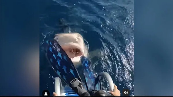 समुद्र के बीच रिसर्च करने पहुंचीं