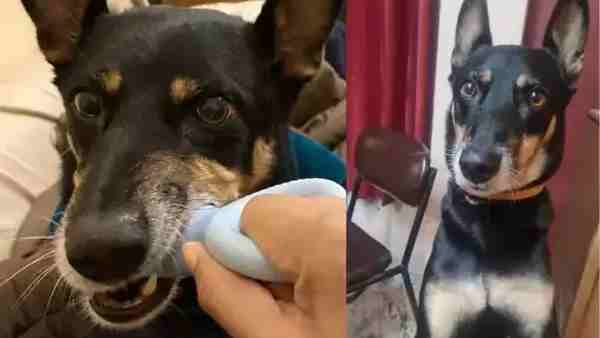 मेघा के सपने में भी आता था अगस्त