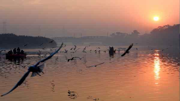 पक्षी जीवविज्ञानियों का आकलन सही निकला