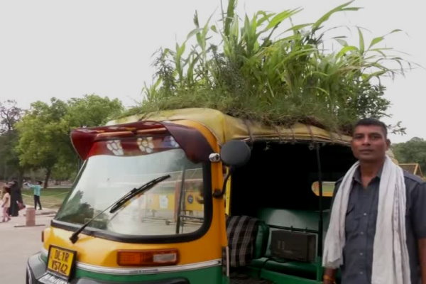  सुगम त्रिपाठी ने की कार्रवाई की मांग
