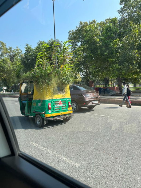  1991 बैच की आईएएस हैं सुप्रिया साहू