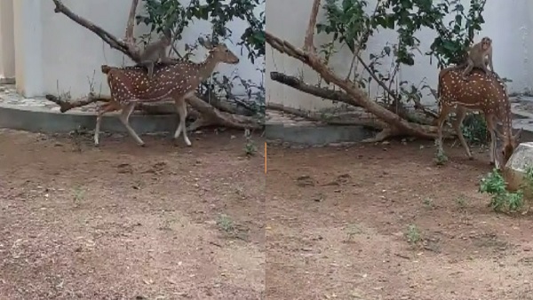 यूजर्स का जीत रहा दिल