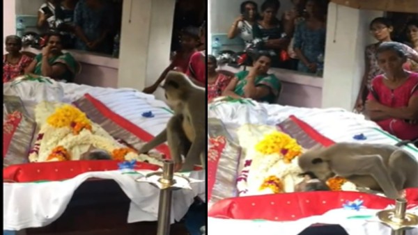 श्रीलंका के बट्टिकलोआ का Video श्रीलंका के बट्टिकलोआ का Video