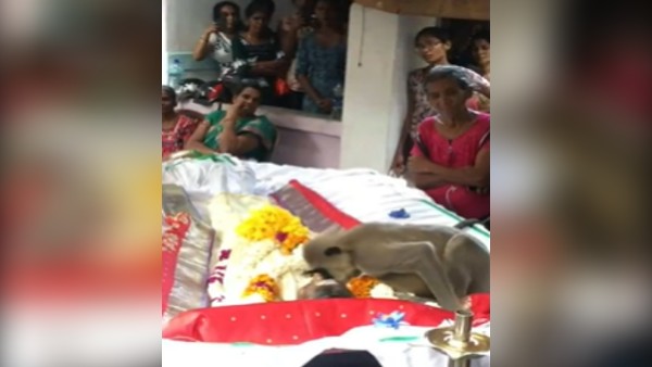 शव को हिलाया, चेक की सांसें शव को हिलाया, चेक की सांसें