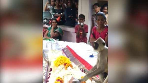 जिसने भी देखी वीडियो, हो गया भावुक जिसने भी देखी वीडियो, हो गया भावुक