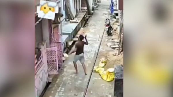 'बंदर तो 'जॉन सीना' निकला'