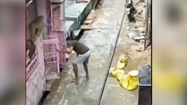 बंदर को भगाना शख्स को पड़ा भारी