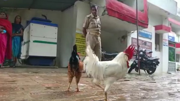 थाने के मेस में इनका खाना अलग से बनता है