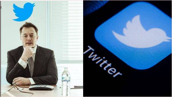 ट्विटर में छंटनी नहीं करेंगे मस्क ट्विटर में छंटनी नहीं करेंगे मस्क