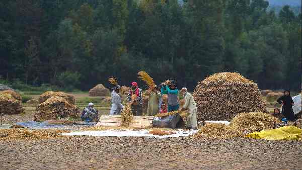 पंजाब और तमिलनाडु भी दे रहे हैं शुभ संकेत