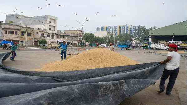 धान की सरकारी खरीद ने बढ़ाई किसानों की उम्मीद