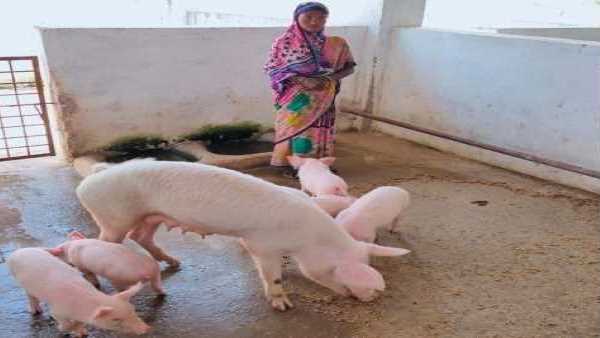 समूह को एक से दो लाख रुपयों तक हो रही आमदनी