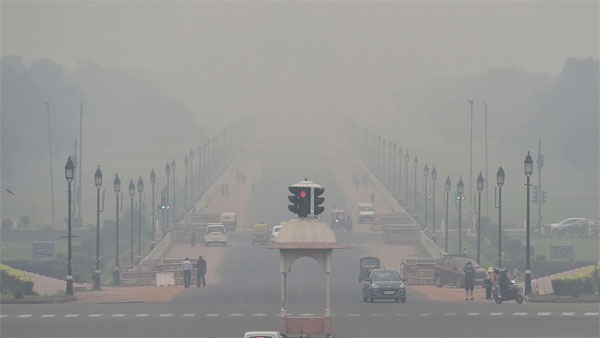 हरियाणा और पंजाब में इस वर्ष पराली भी कम जली