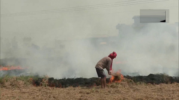 Punjab: 30 thousand machines distributed for the disposal of stubble in the fields