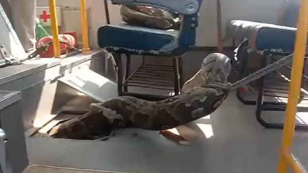 मौके पर पहुंचे अधिकारी