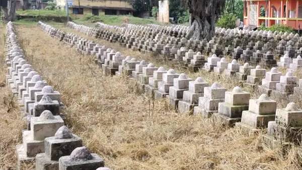 एक लाइन में स्थापित किया गया है सिरसोता एक लाइन में स्थापित किया गया है सिरसोता