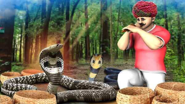 सवरा समाज सांप पकड़कर करता है जीवकोपार्जन सवरा समाज सांप पकड़कर करता है जीवकोपार्जन