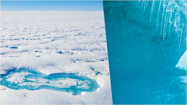 ग्लेशियर के नीचे सूक्ष्म जीव हैं ग्लेशियर के नीचे सूक्ष्म जीव हैं