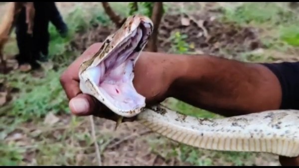 लोढ़ी माता मंदिर पर पहुंचे थे श्रद्धालु