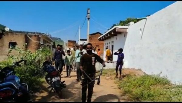 सुरक्षित स्थान पर कोबरा को छोड़ा