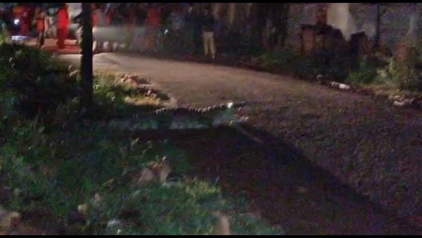 1 महीने से इस इलाके में घूम रहा था यह मगरमच्छ