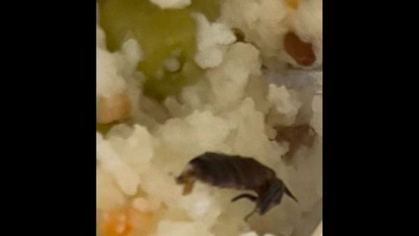 यात्री ने की शिकायत 