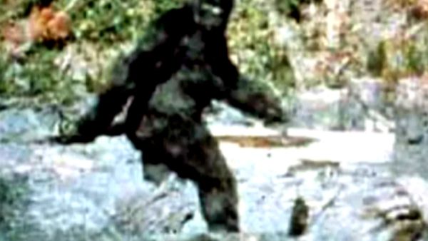 लोगों को नहीं हुआ यकीन लोगों को नहीं हुआ यकीन