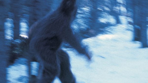 इंसान जैसा दिखता है बिगफुट इंसान जैसा दिखता है बिगफुट