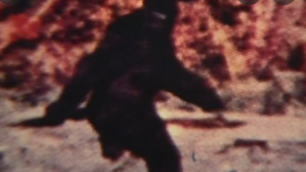 कंफ्यूज दिखे लोग कंफ्यूज दिखे लोग