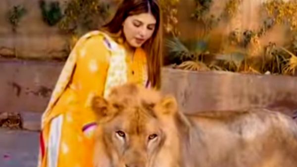 रिएक्ट कर रहे लोग