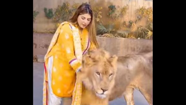 करोड़ों लोगों ने देखा ये वीडियो