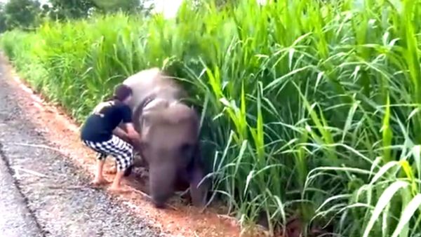 लोगों को बेहद पसंद आया वीडियो लोगों को बेहद पसंद आया वीडियो