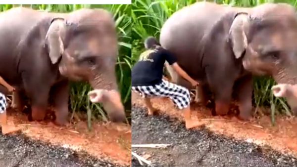 कामयाब हुई लड़की की मेहनत कामयाब हुई लड़की की मेहनत