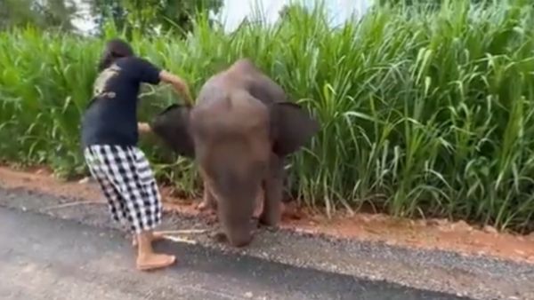 लोगों ने की लड़की की तारीफ लोगों ने की लड़की की तारीफ