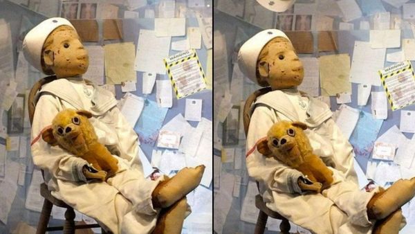 फिर घर ले आया रॉबर्ट फिर घर ले आया रॉबर्ट