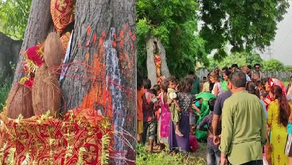 चमत्कार मान कर पूजा अर्चना शुरू