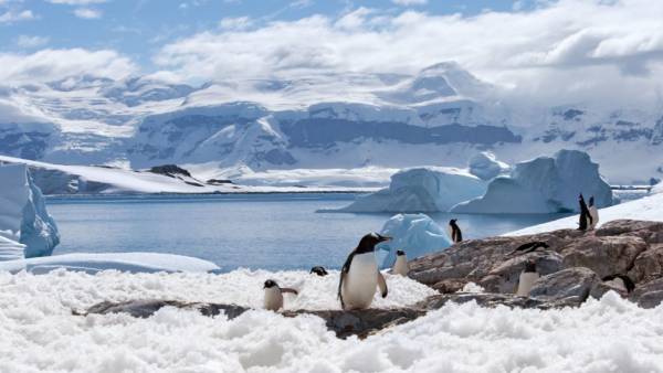 कई दशकों से बह रहा खून का झरना कई दशकों से बह रहा खून का झरना