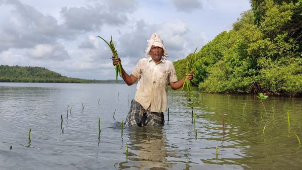 लोगों ने मैंग्रोव राजन रख दिया नाम