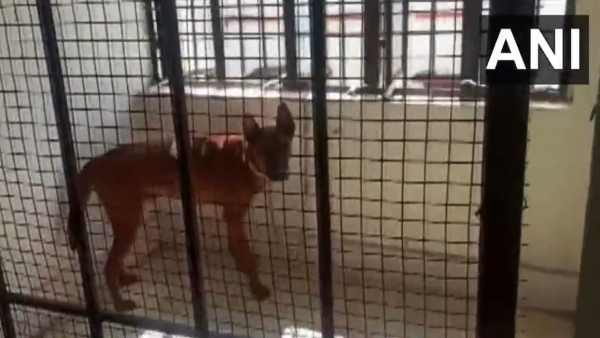 वीआईपी सेल में दो बेड और AC