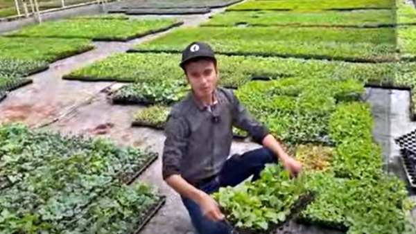 पॉलिटेक्निक छोड़ एग्रीकल्चर का रास्ता चुना