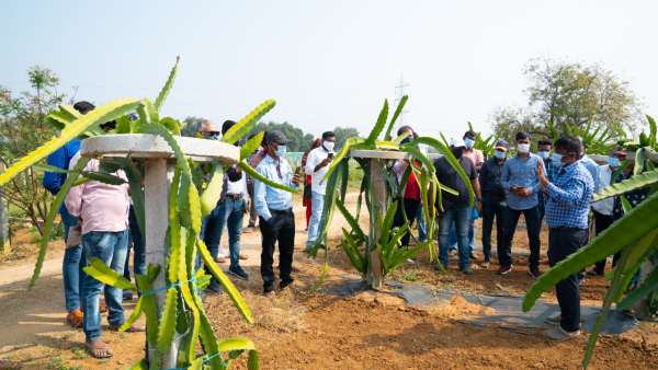 विदेश से आयात करते हैं लोग विदेश से आयात करते हैं लोग