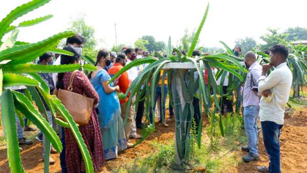 देश भर के किसानों को मुफ्त ट्रेनिंग देश भर के किसानों को मुफ्त ट्रेनिंग