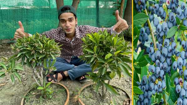 प्रियांश लाखों लोगों तक पहुंच सकते हैं