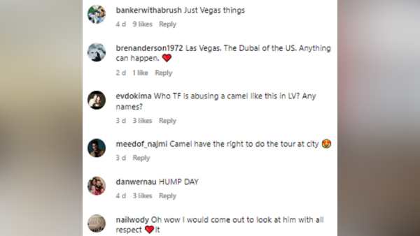 ऊंट को फ्रेंच फ्राइज बहुत पसंद है ऊंट को फ्रेंच फ्राइज बहुत पसंद है