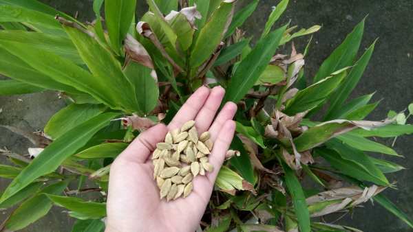 यूट्यूब से आमदनी की शुरुआत कैसे